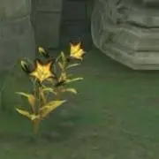 にぃ (プロフ必読ください。)の画像