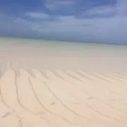 REIの画像