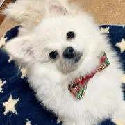 ナリドン★の画像