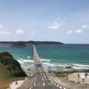 たか