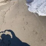 ののの