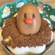 ディグダの画像