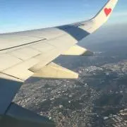 うーちゃんの画像