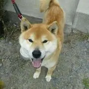 myi☆の画像