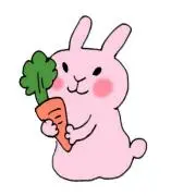 HAKUの画像
