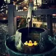 あやの画像