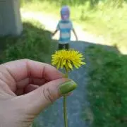 めんちゃん