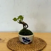 さんぽうgood