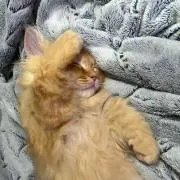 ユーキ