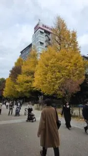 M:プロフ一読※実家保管品発送1/11の画像