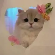 ゆず