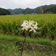 prazn870848の画像