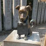 ゆうD