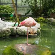 ちょこぱんなの画像