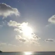 Natの画像