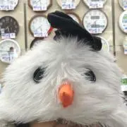 pempempomの画像