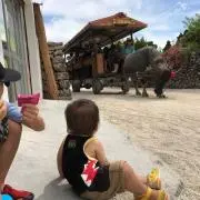 藤原