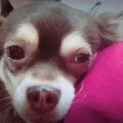 JUNA★の画像
