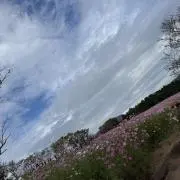 hana