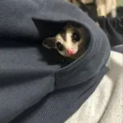 ぃの画像