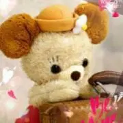 ＊きぃ＊の画像