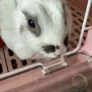 Naonyanの画像