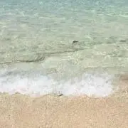 kocoの画像