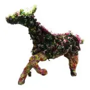 やすの画像