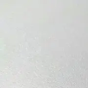 ほみの画像