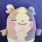 sakiの画像