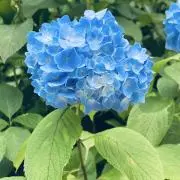 みぃの☘️お値引き交渉大歓迎♪♪の画像