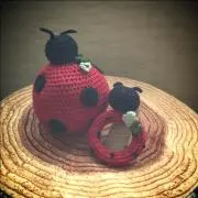 たぬき