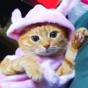 ♡Ainey♡の画像