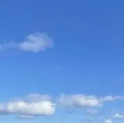 もんちの画像