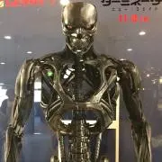 00の画像