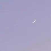 mokaの画像