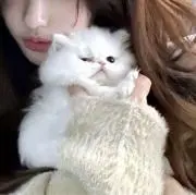 yuの画像