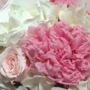 ♡K♡