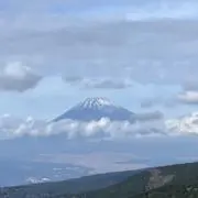 Greenyの画像