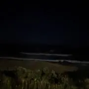 みーの画像