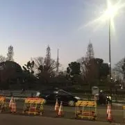 サバイバル