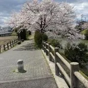 断捨離マンの画像