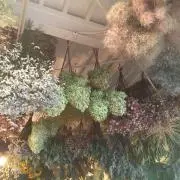 Kの画像