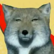 たまぽちネッヌの画像