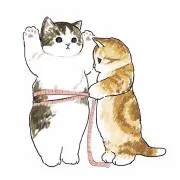 ABCの画像