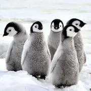 一期一会の画像