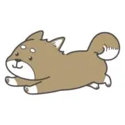 YUMIの画像