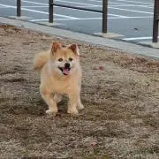 とらきち☆