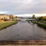 山田の画像