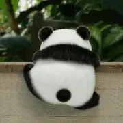 くままるの画像